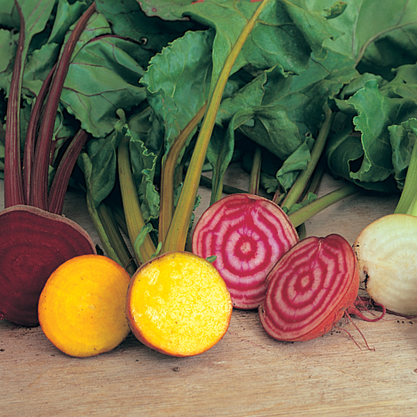 BEETROOT SUNSET MIXED
