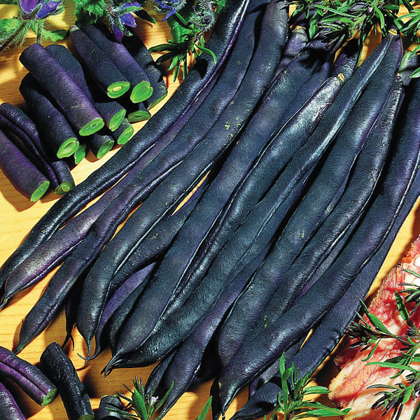 CLIMBING BEAN BLAUHILDE