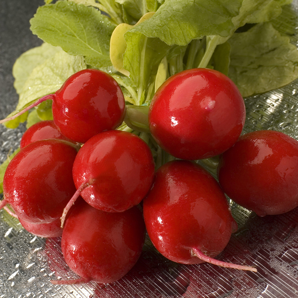 RADISH CHERRY BELLE