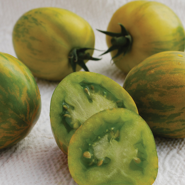 TOMATO GREEN ZEBRA
