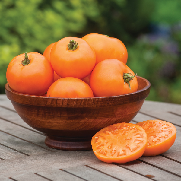 TOMATO ORANGE WELLINGTON HYBRID