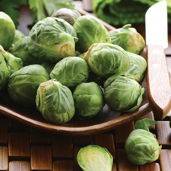 BRUSSELS SPROUT TRAFALGAR F1