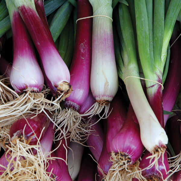 ONION APACHE SALAD