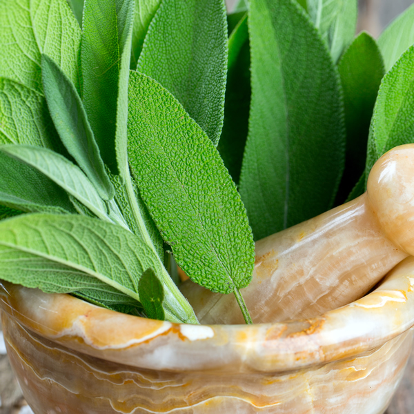 SAGE