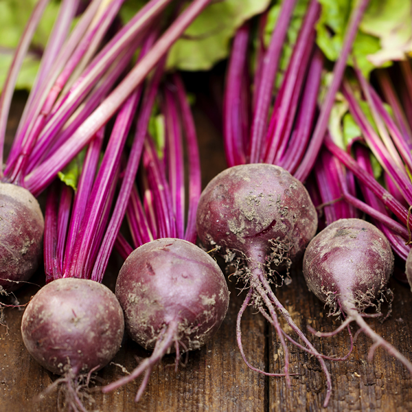 BEETROOT MONETA