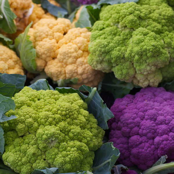 CAULIFLOWER KALEIDOSCOPE MIXED