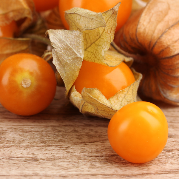 PHYSALIS PERUVIANA GOLDEN BERRY
