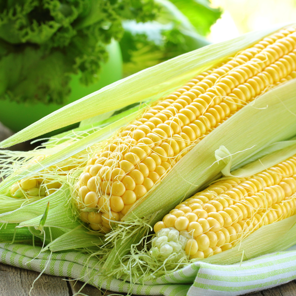 SWEET CORN EARLIBIRD