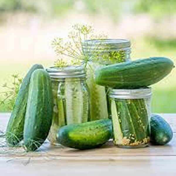 CUCUMBER GOBLIN