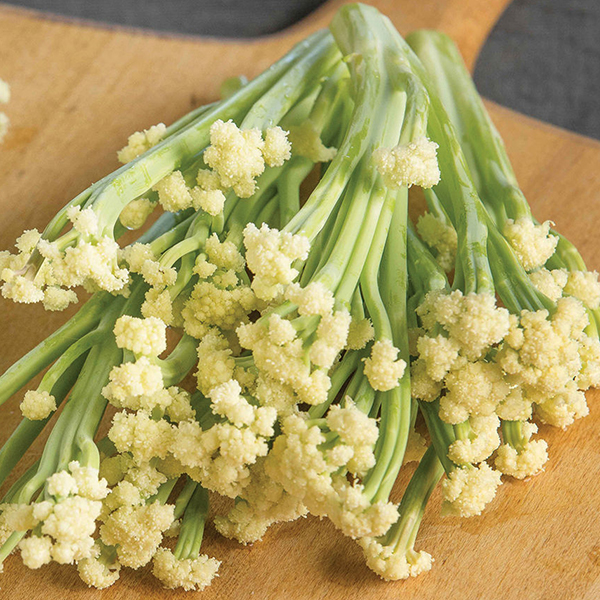CAULIFLOWER SPROUTING FIORETTO