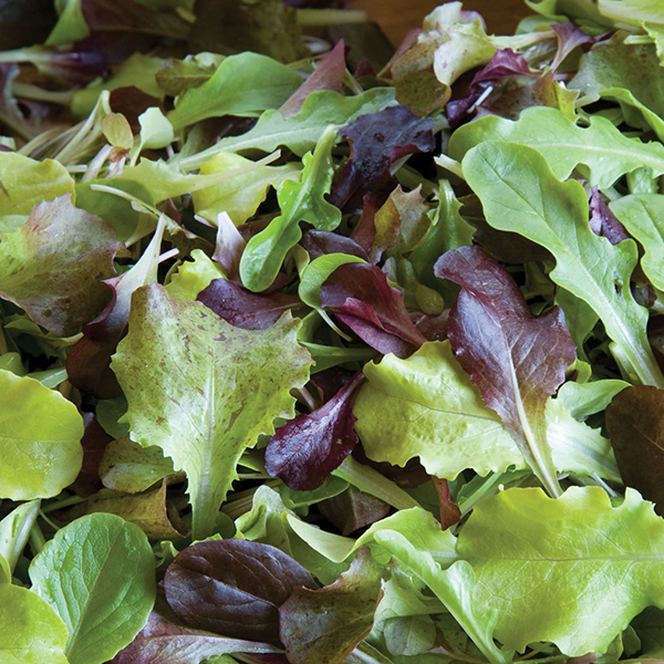 LETTUCE ALL STAR GOURMET SALAD LEAVES