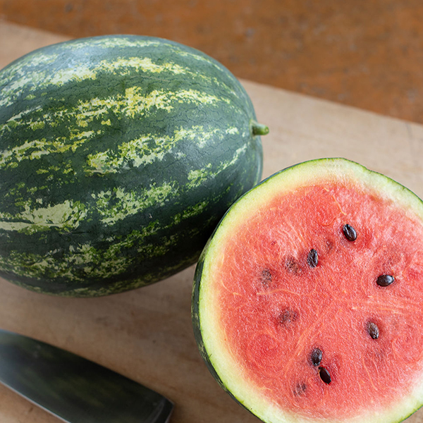WATERMELON MINI LOVE F1
