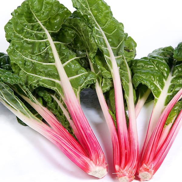 SWISS CHARD PEPPERMINT
