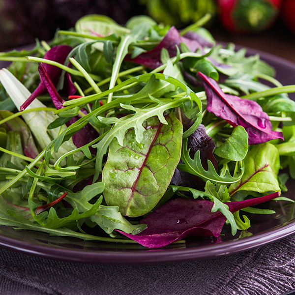SALAD BABY LEAF FRENCH BISTRO MIX