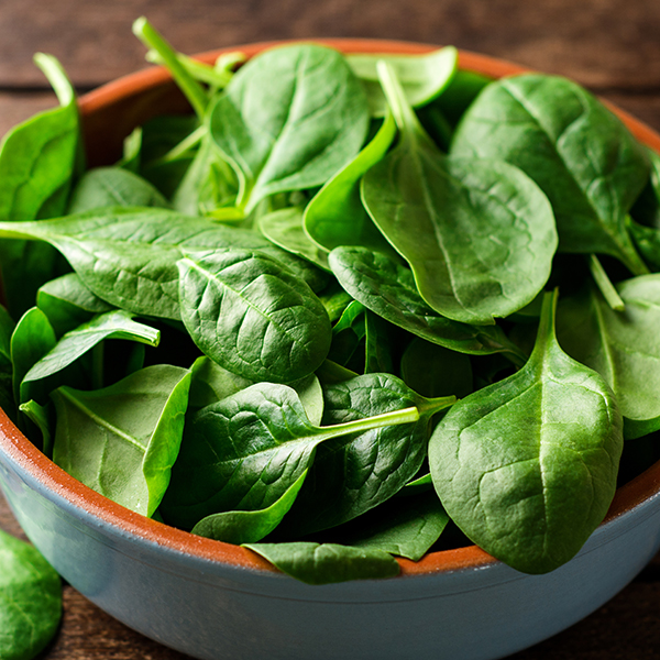 SPINACH CELESTA