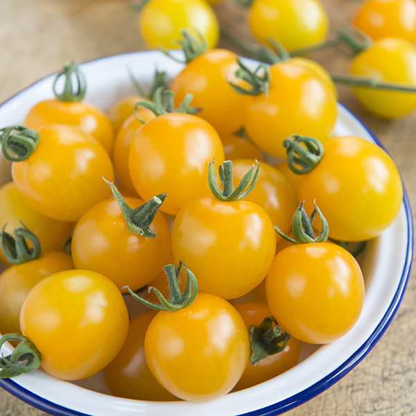 TOMATO YELLOW MIMI F1