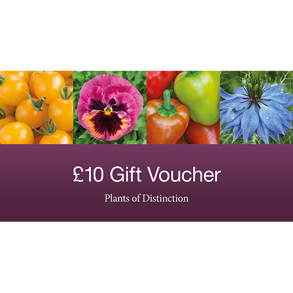 GIFT VOUCHER TEN POUNDS