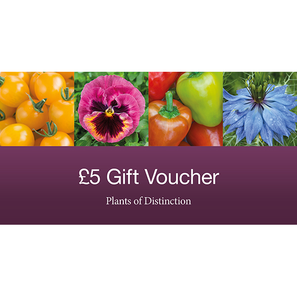 GIFT VOUCHER FIVE POUNDS