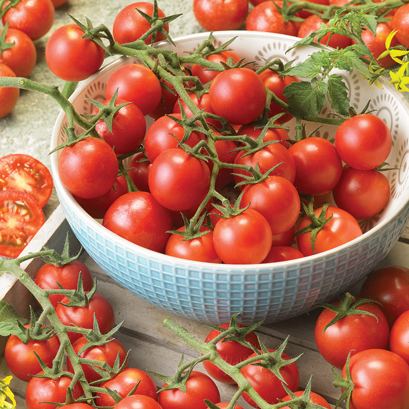 TOMATO SWEET APERITIF