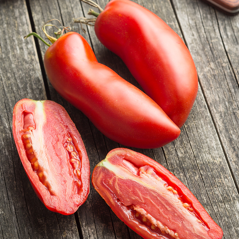 TOMATO SAN MARZANO