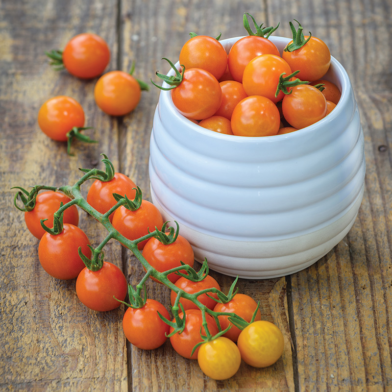 TOMATO HONEYCOMB