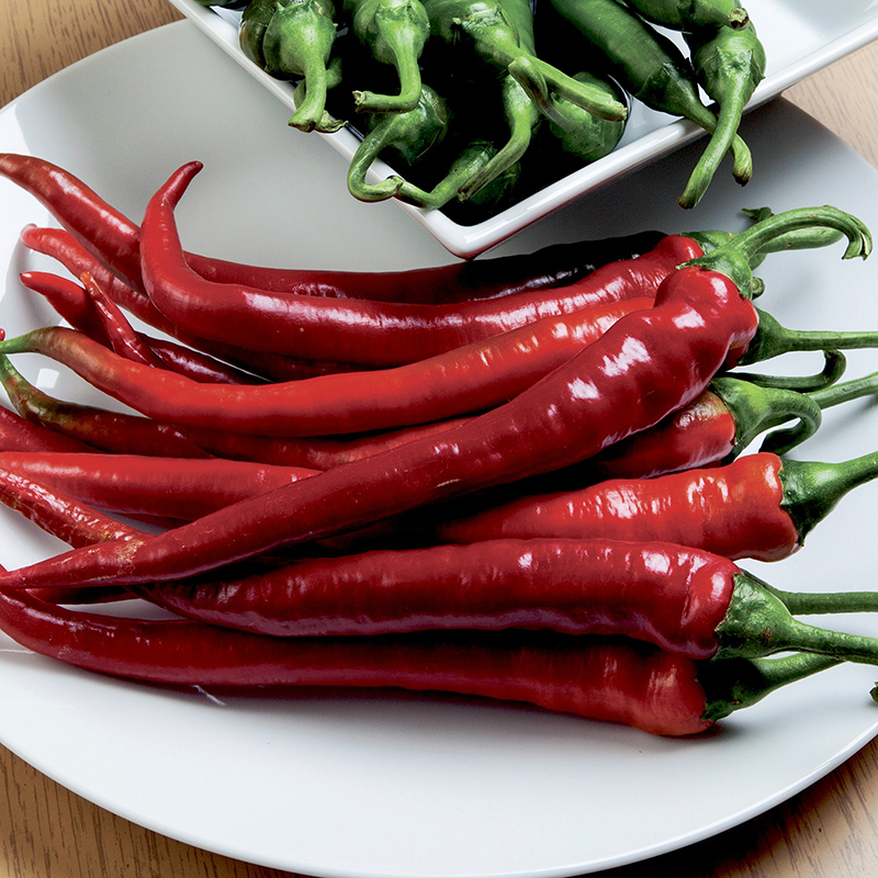 PEPPER LONGHORN
