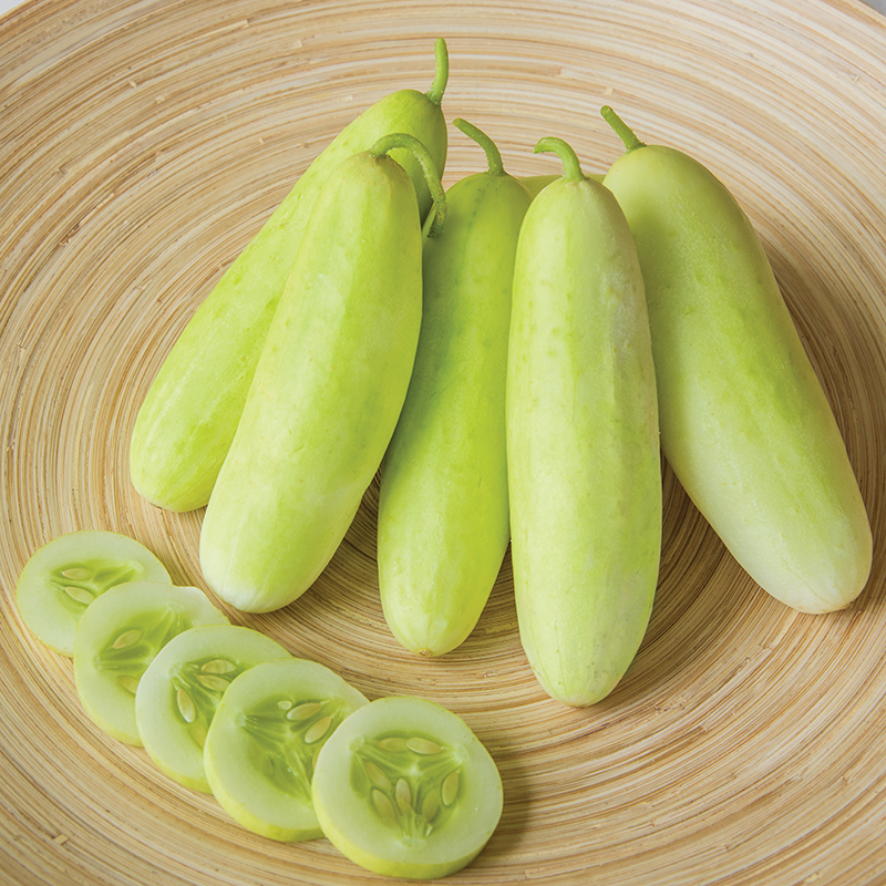 CUCUMBER HONEY PLUS