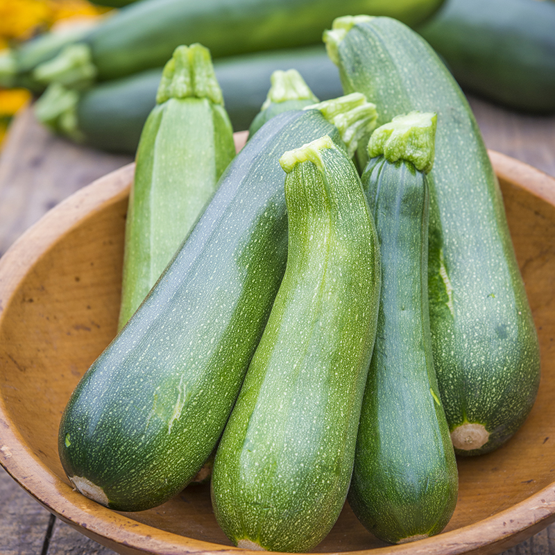 COURGETTE SURE THING
