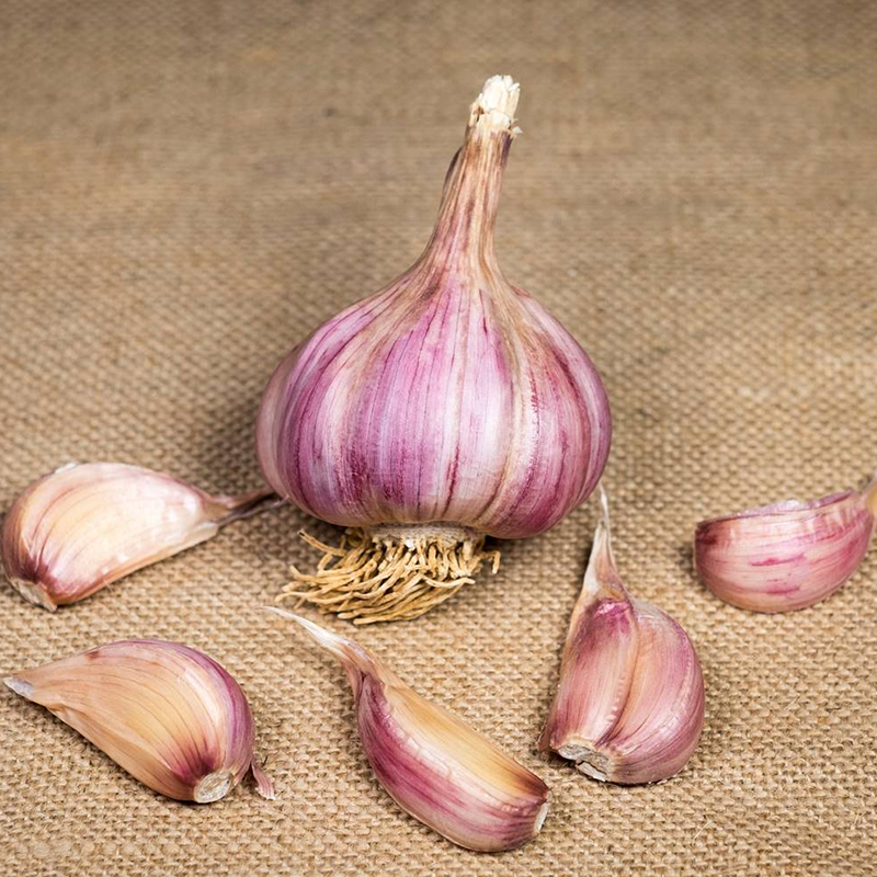 GARLIC CAULK WIGHT