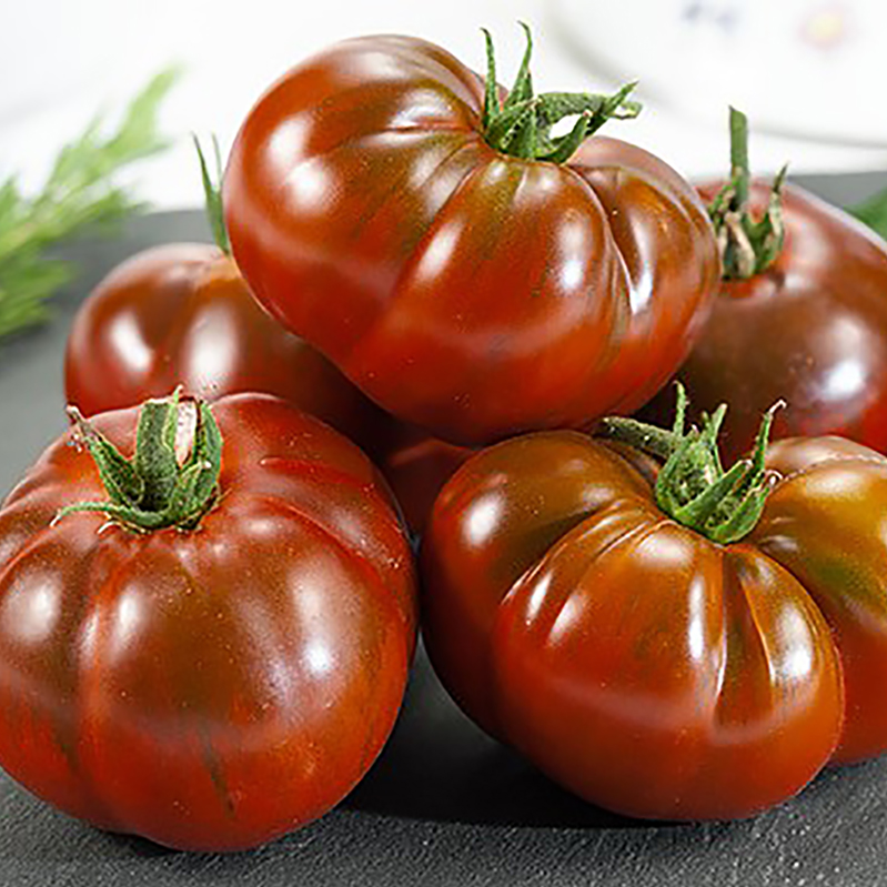 TOMATO RUSSIAN BLACK