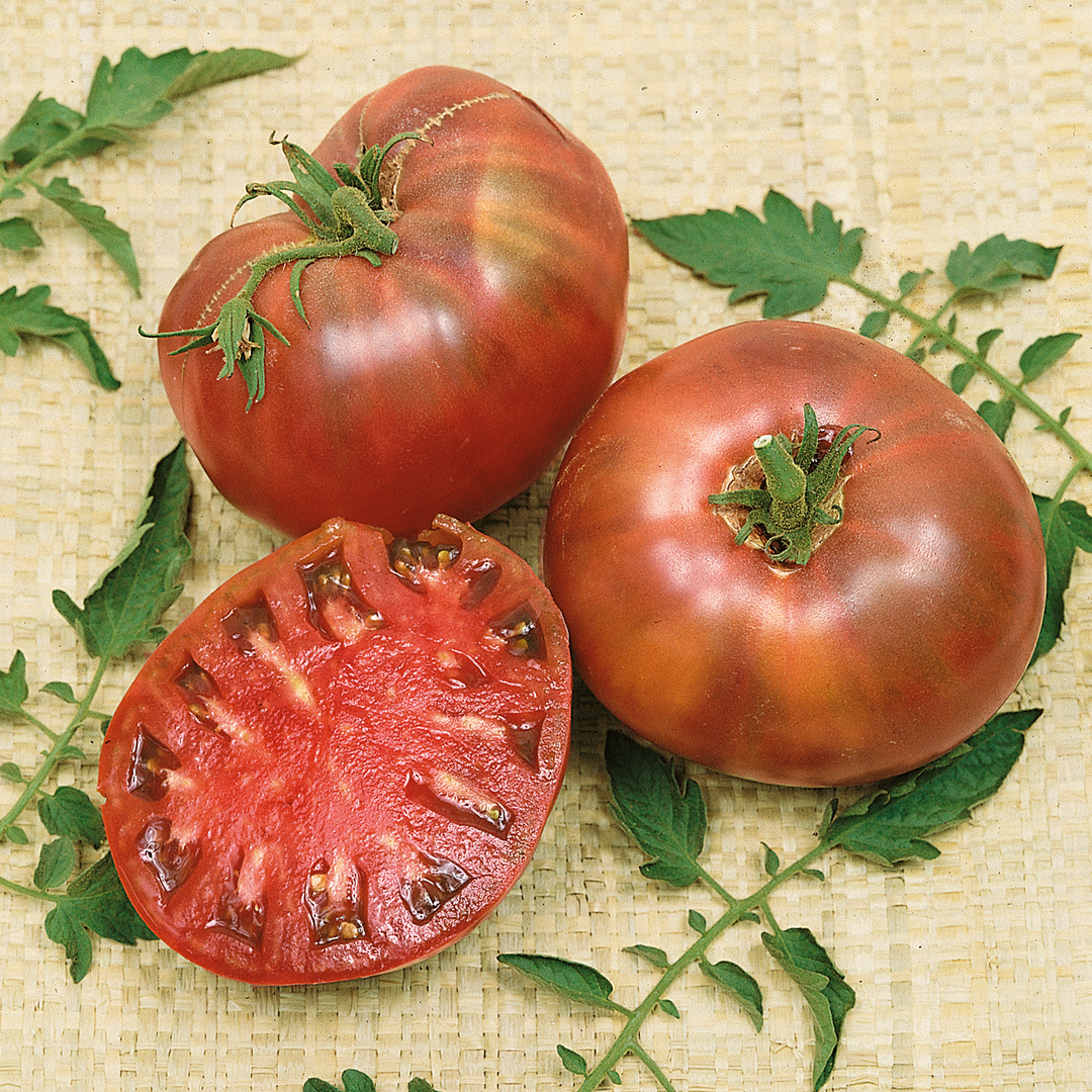 TOMATO CHEROKEE PURPLE