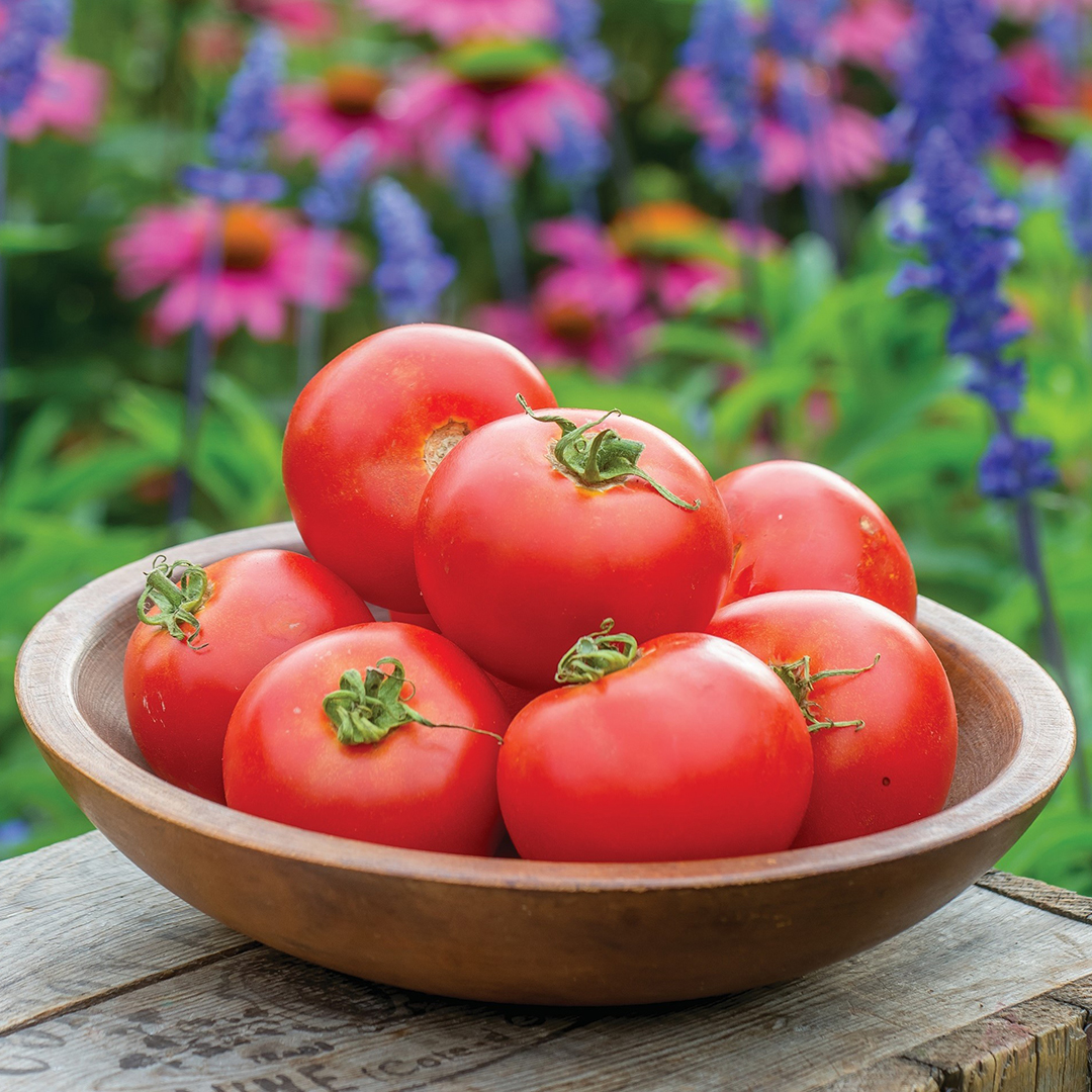 TOMATO CRIMSON CRUSH