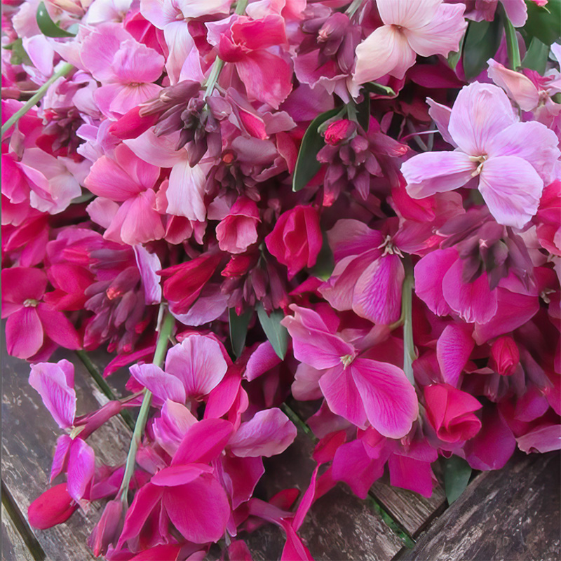 WALLFLOWER RUBY GEM