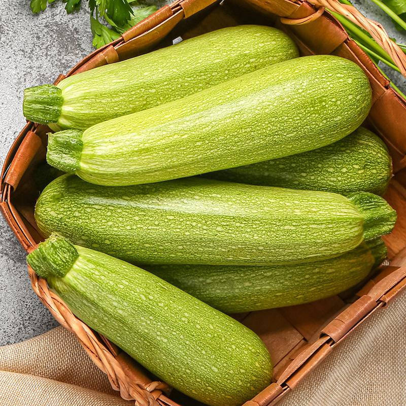 COURGETTE CLARION F1