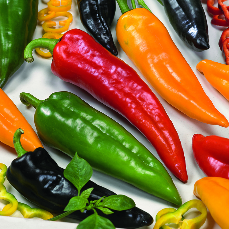 PEPPER TASTY GRILL MIXED