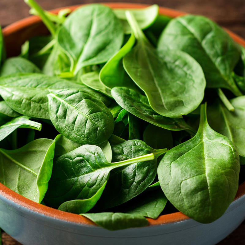 SPINACH AMADOR F1