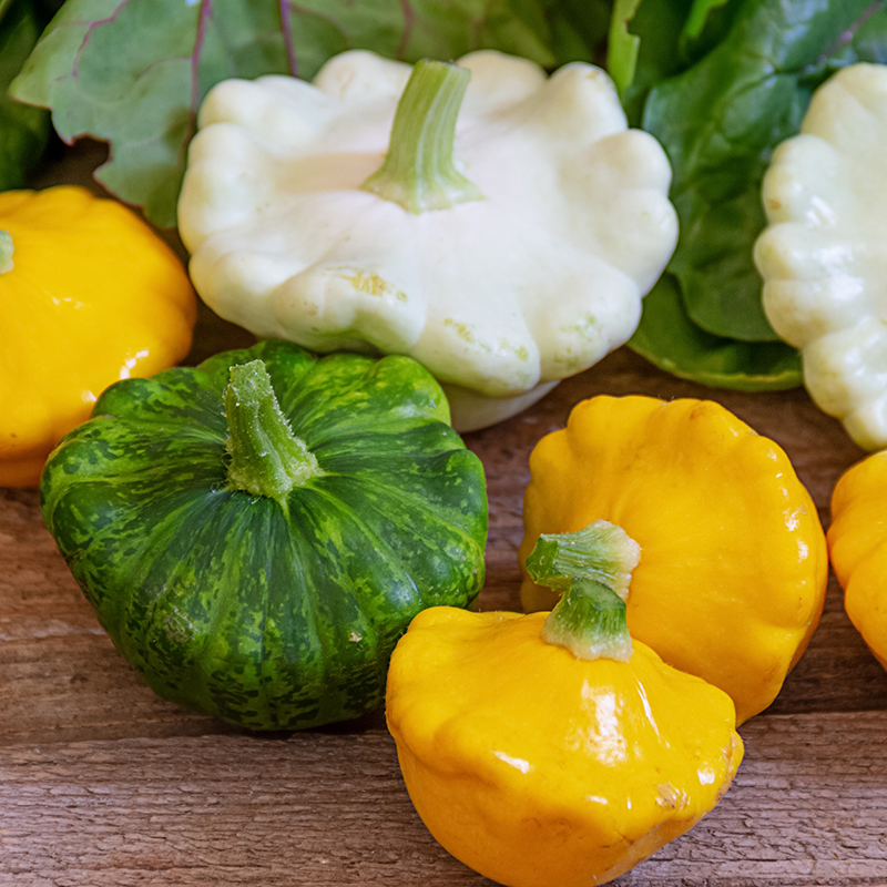 SQUASH PATTY PAN MIXED