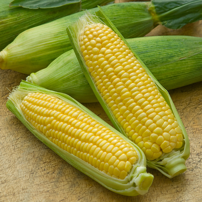 SWEET CORN MIRAI PICNIC