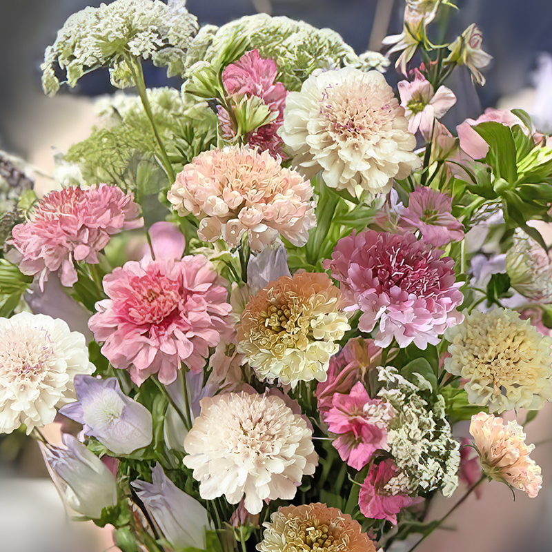SCABIOSA FONDANT FANCIES