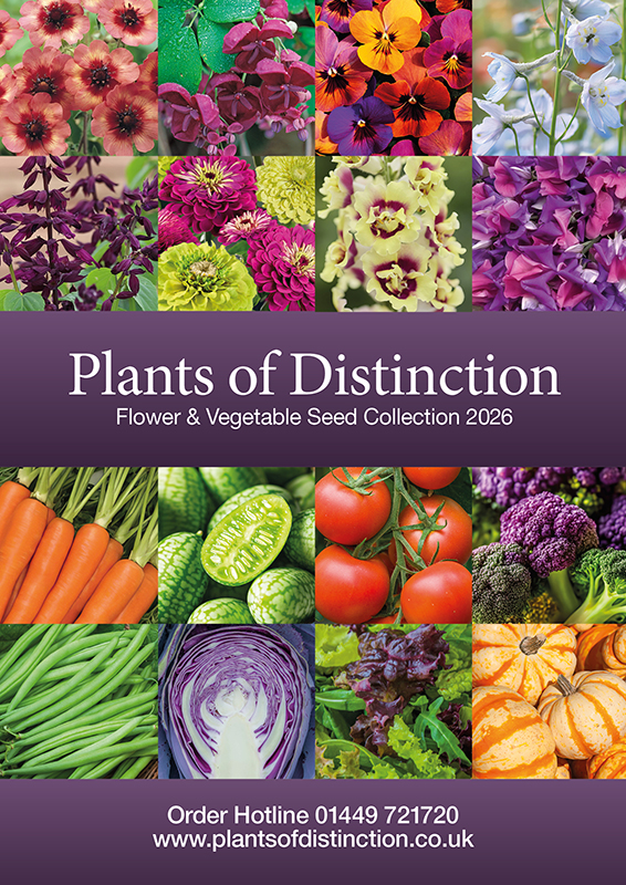 PHYTOSANITARY CERTIFICATE