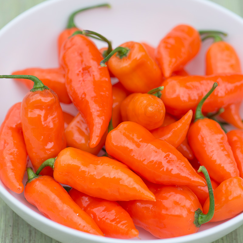PEPPER HABANADA