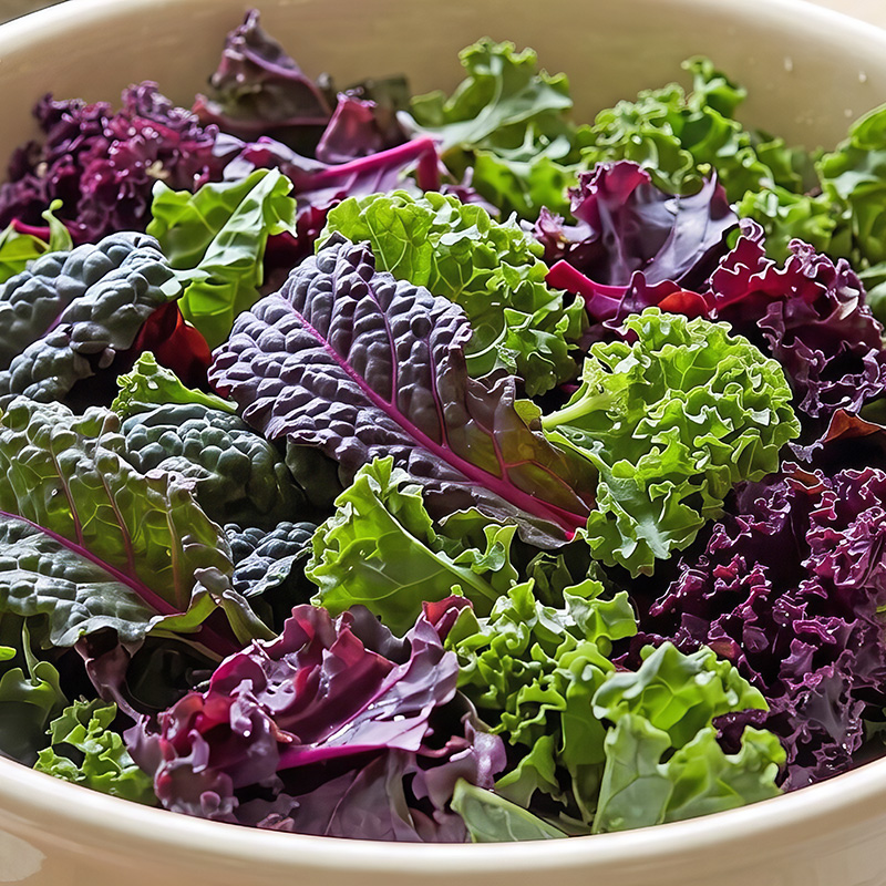 KALE FARMHOUSE KITCHEN MIXED