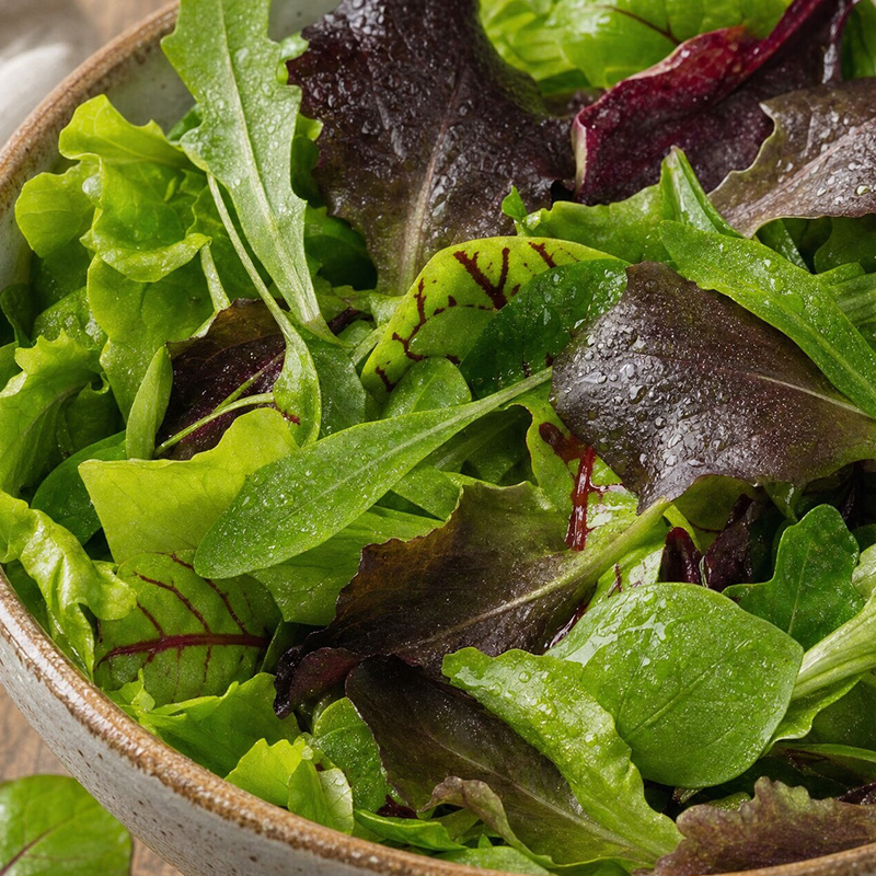 SALAD BABY LEAF PROVENCE II