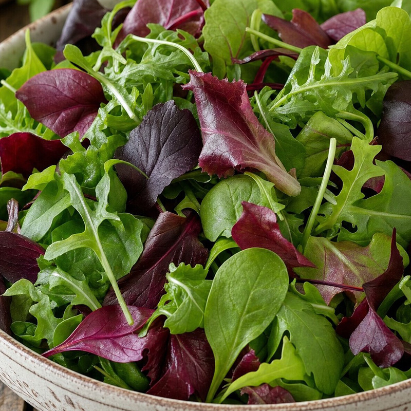 SALAD BABY LEAVES MIXED