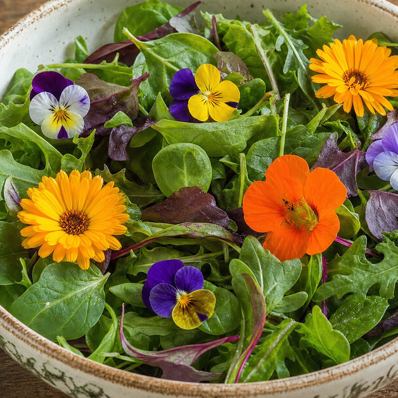 EDIBLE FLOWER SALAD MIXED