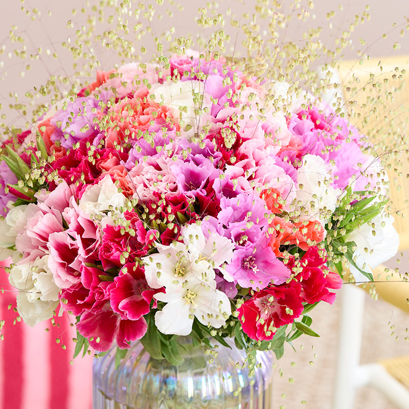 GODETIA GRACE MIXED