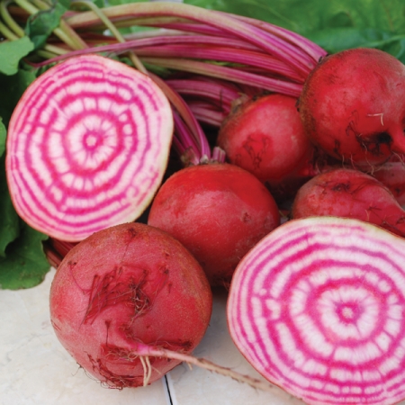BEETROOT CHIOGGIA