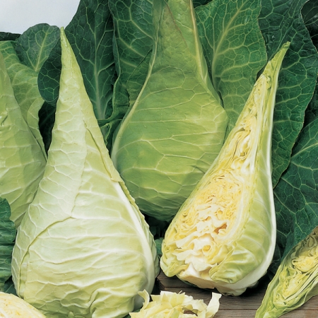 CABBAGE FILDERKRAUT