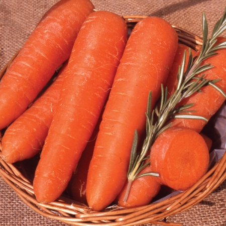 CARROT GIANT FLAKKEE
