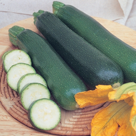 COURGETTE FIRENZE F1